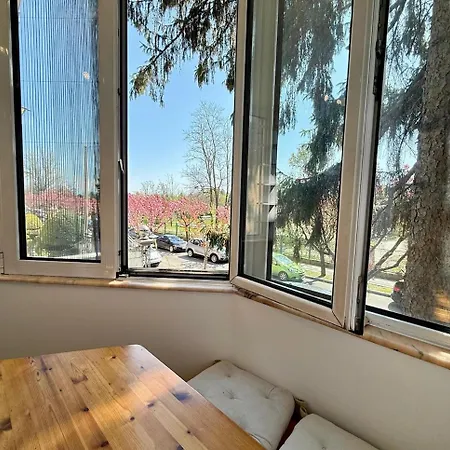 Roses Park Apartment Timisoara